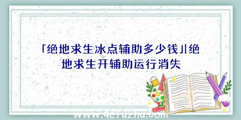 「绝地求生冰点辅助多少钱」|绝地求生开辅助运行消失